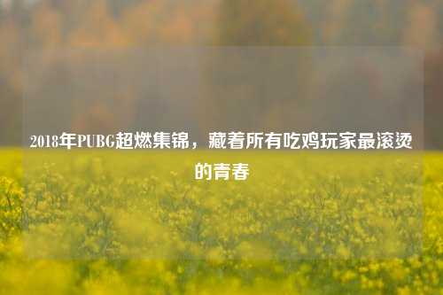 2018年PUBG超燃集锦,藏着所有吃鸡玩家最滚烫的青春