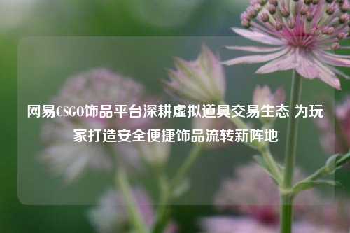 网易CSGO饰品平台深耕虚拟道具交易生态 为玩家打造安全便捷饰品流转新阵地