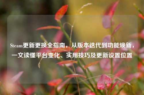 Steam更新更换全指南，从版本迭代到功能焕新，一文读懂平台变化、实用技巧及更新设置位置