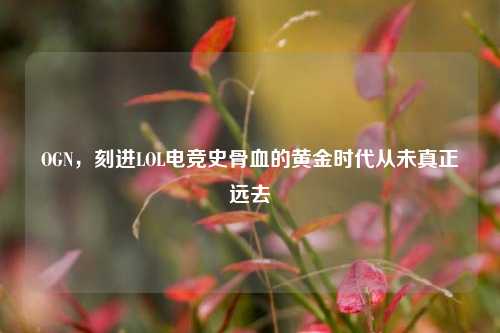 OGN,刻进LOL电竞史骨血的黄金时代从未真正远去