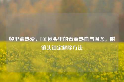 帧里藏热爱,LOL镜头里的青春热血与温柔,附镜头锁定解除方法