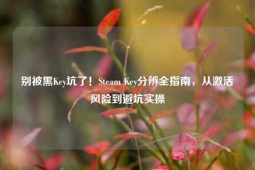 别被黑Key坑了!Steam Key分辨全指南,从激活风险到避坑实操