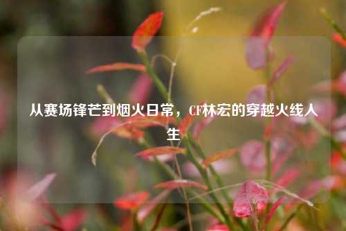 从赛场锋芒到烟火日常,CF林宏的穿越火线人生
