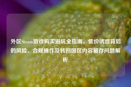 外区Steam游戏购买避坑全指南,低价诱惑背后的风险、合规操作及转回国区内容留存问题解析
