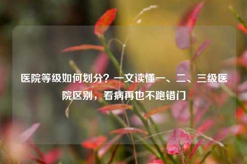 医院等级如何划分?一文读懂一、二、三级医院区别,看病再也不跑错门