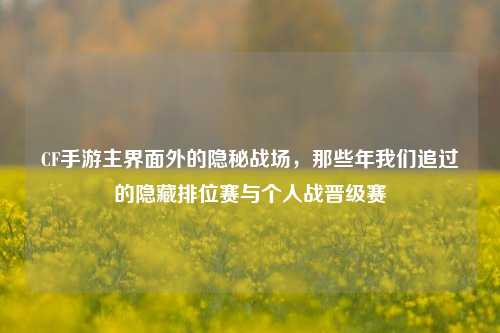 CF手游主界面外的隐秘战场,那些年我们追过的隐藏排位赛与个人战晋级赛