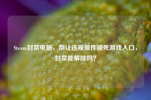Steam封禁电脑,别让违规操作锁死游戏入口,封禁能解除吗?