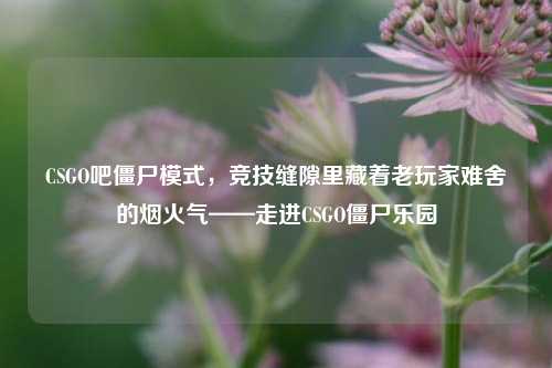 CSGO吧僵尸模式,竞技缝隙里藏着老玩家难舍的烟火气——走进CSGO僵尸乐园