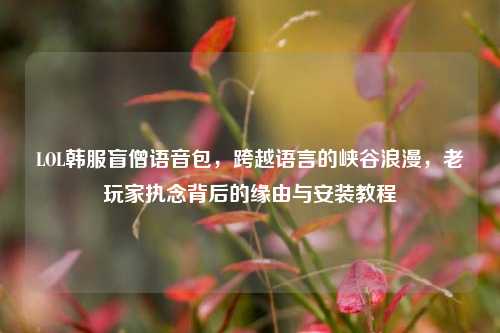 LOL韩服盲僧语音包,跨越语言的峡谷浪漫,老玩家执念背后的缘由与安装教程