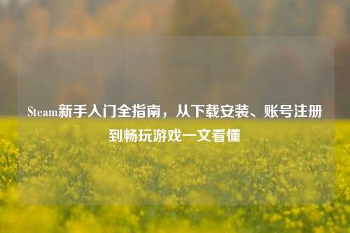 Steam新手入门全指南,从下载安装、账号注册到畅玩游戏一文看懂