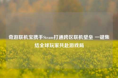 奇游联机宝携手Steam打通跨区联机壁垒 一键集结全球玩家共赴游戏局
