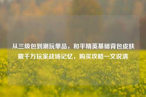 从三级包到潮玩单品,和平精英基础背包皮肤藏千万玩家战场记忆,购买攻略一文说清