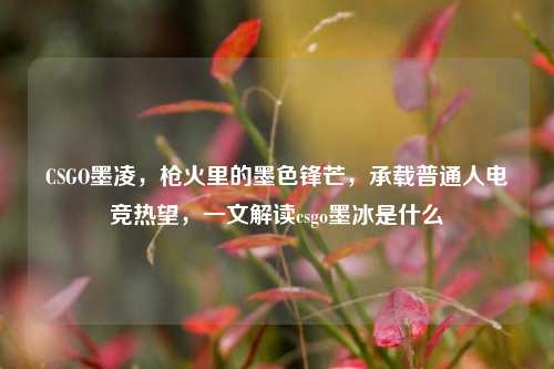 CSGO墨凌,枪火里的墨色锋芒,承载普通人电竞热望,一文解读csgo墨冰是什么