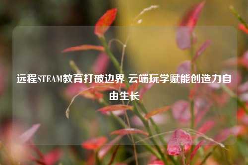 远程STEAM教育打破边界 云端玩学赋能创造力自由生长