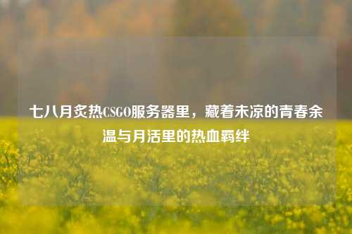 七八月炙热CSGO服务器里，藏着未凉的青春余温与月活里的热血羁绊