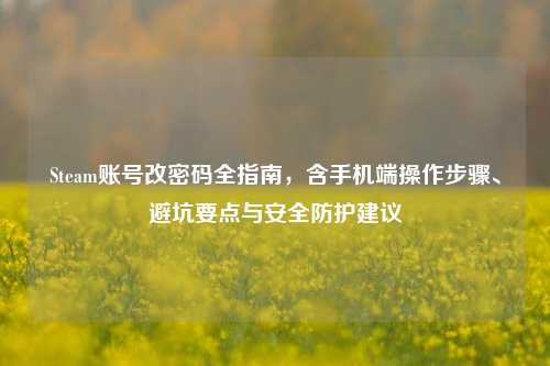 Steam账号改密码全指南,含手机端操作步骤、避坑要点与安全防护建议
