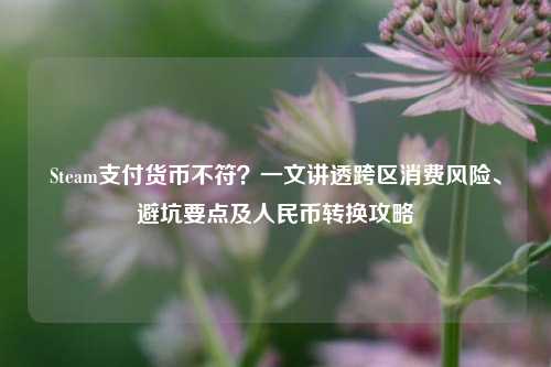 Steam支付货币不符？一文讲透跨区消费风险、避坑要点及人民币转换攻略