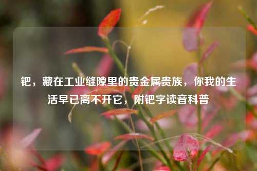 钯,藏在工业缝隙里的贵金属贵族,你我的生活早已离不开它,附钯字读音科普