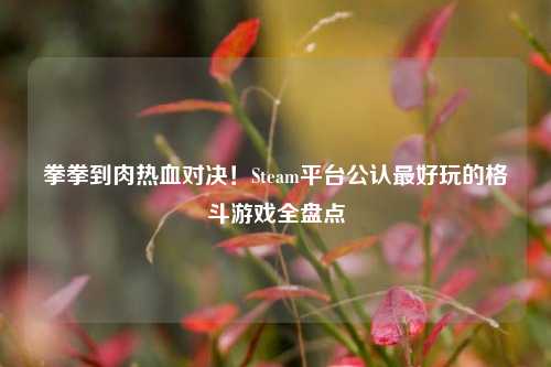 拳拳到肉热血对决!Steam平台公认最好玩的格斗游戏全盘点