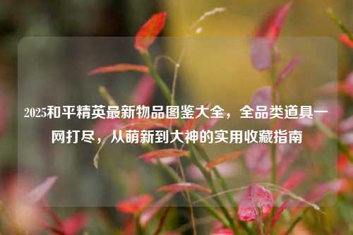 2025和平精英最新物品图鉴大全，全品类道具一网打尽，从萌新到大神的实用收藏指南