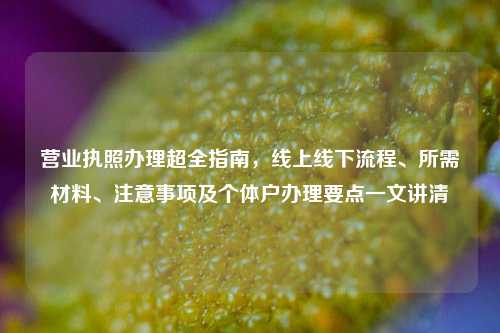 营业执照办理超全指南,线上线下流程、所需材料、注意事项及个体户办理要点一文讲清