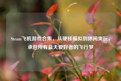 Steam飞机游戏合集,从硬核模拟到休闲爽玩,承包所有蓝天爱好者的飞行梦