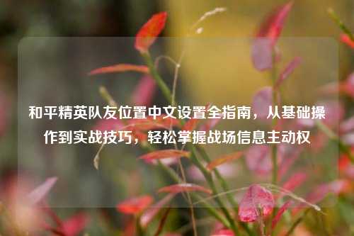 和平精英队友位置中文设置全指南,从基础操作到实战技巧,轻松掌握战场信息主动权