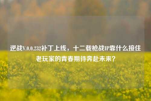 逆战V.0.0.232补丁上线，十二载枪战IP靠什么接住老玩家的青春期待奔赴未来？