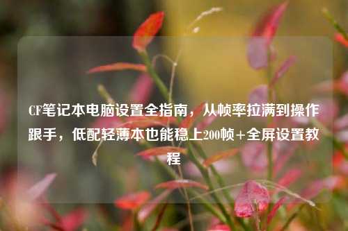 CF笔记本电脑设置全指南,从帧率拉满到操作跟手,低配轻薄本也能稳上200帧+全屏设置教程