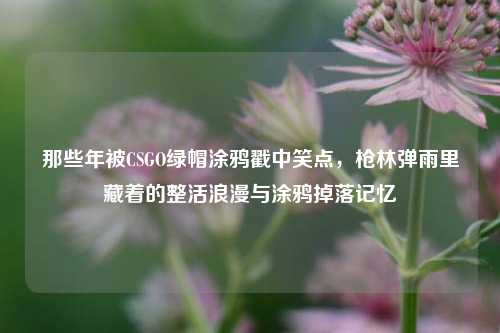 那些年被CSGO绿帽涂鸦戳中笑点,枪林弹雨里藏着的整活浪漫与涂鸦掉落记忆