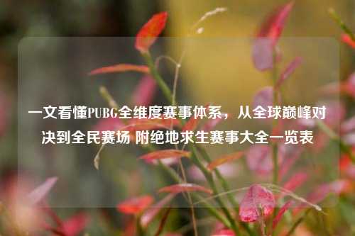 一文看懂PUBG全维度赛事体系,从全球巅峰对决到全民赛场 附绝地求生赛事大全一览表