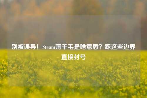 别被误导!Steam薅羊毛是啥意思?踩这些边界直接封号