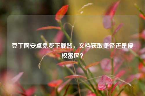 豆丁网安卓免费下载器,文档获取捷径还是侵权雷区?