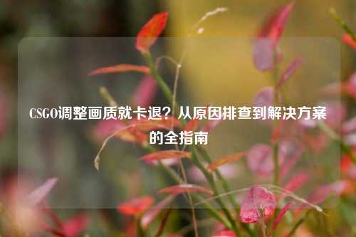 CSGO调整画质就卡退?从原因排查到解决方案的全指南