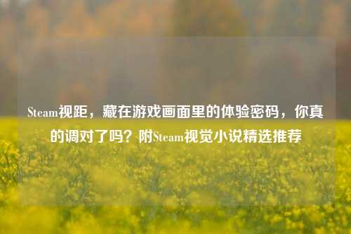 Steam视距,藏在游戏画面里的体验密码,你真的调对了吗?附Steam视觉小说精选推荐