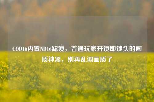 COD16内置ND16滤镜，普通玩家开镜即锁头的画质神器，别再乱调画质了