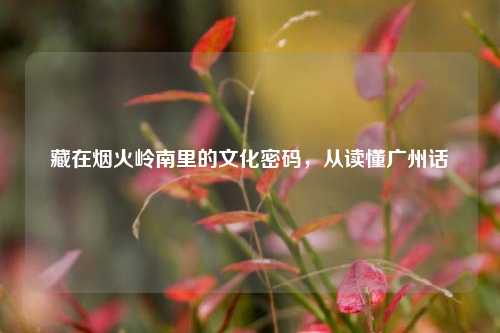 藏在烟火岭南里的文化密码,从读懂广州话