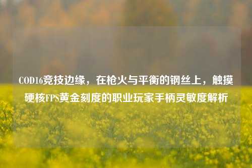 COD16竞技边缘，在枪火与平衡的钢丝上，触摸硬核FPS黄金刻度的职业玩家手柄灵敏度解析