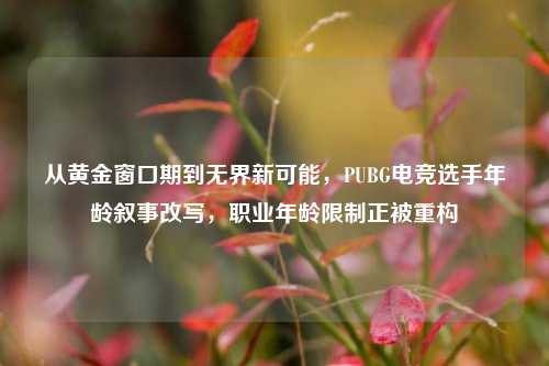 从黄金窗口期到无界新可能,PUBG电竞选手年龄叙事改写,职业年龄限制正被重构