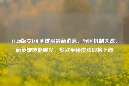 11.20版本LOL测试服最新消息,野区机制大改、新英雄技能曝光,多款至臻皮肤即将上线