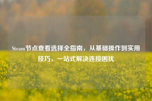 Steam节点查看选择全指南,从基础操作到实用技巧,一站式解决连接困扰