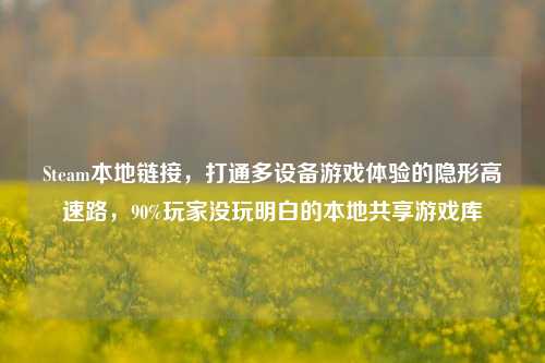 Steam本地链接,打通多设备游戏体验的隐形高速路,90%玩家没玩明白的本地共享游戏库