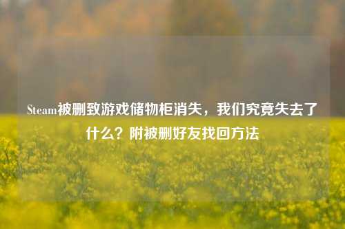 Steam被删致游戏储物柜消失,我们究竟失去了什么?附被删好友找回方法
