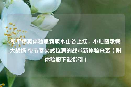 和平精英体验服新版本山谷上线,小地图承载大战场 快节奏爽感拉满的战术新体验来袭(附体验服下载指引)