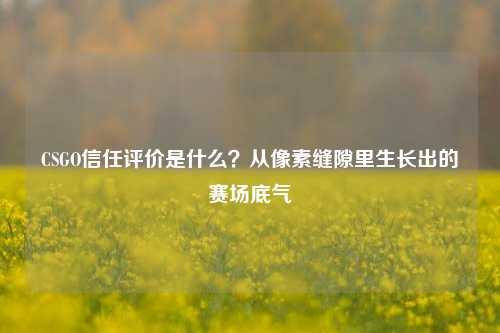 CSGO信任评价是什么?从像素缝隙里生长出的赛场底气