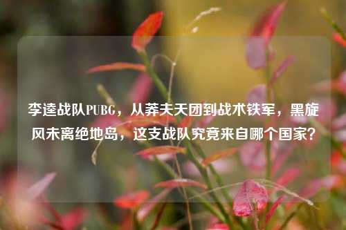 李逵战队PUBG,从莽夫天团到战术铁军,黑旋风未离绝地岛,这支战队究竟来自哪个国家?
