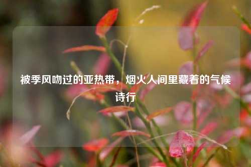 被季风吻过的亚热带,烟火人间里藏着的气候诗行