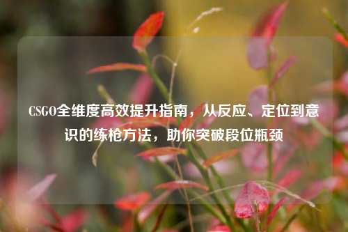 CSGO全维度高效提升指南,从反应、定位到意识的练枪方法,助你突破段位瓶颈