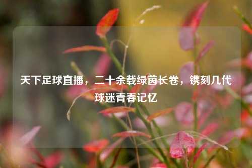 天下足球直播,二十余载绿茵长卷,镌刻几代球迷青春记忆
