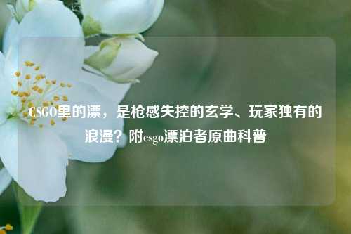 CSGO里的漂，是枪感失控的玄学、玩家独有的浪漫？附csgo漂泊者原曲科普